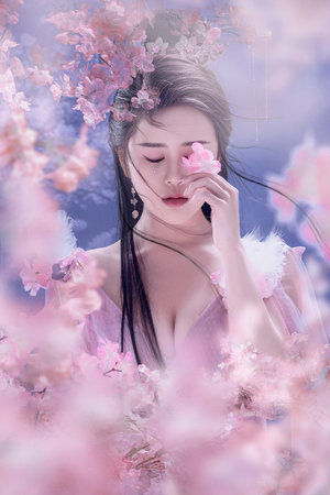 神医侠侣电视剧