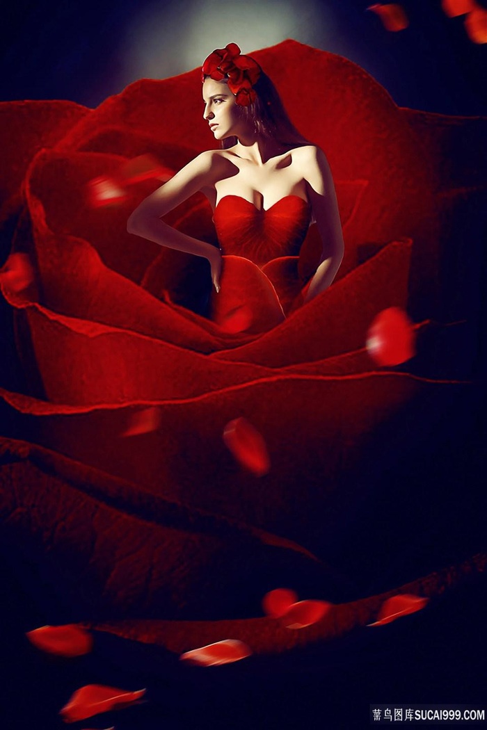 cctv-1跨过鸭绿江1-40集